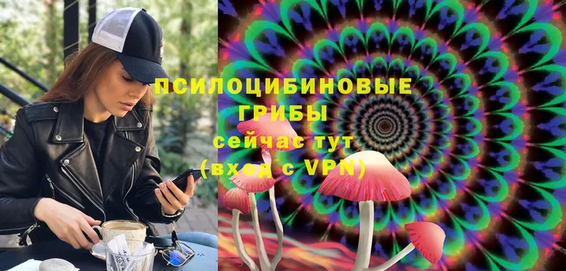 Галлюциногенные грибы Magic Shrooms  кракен рабочий сайт  Истра 